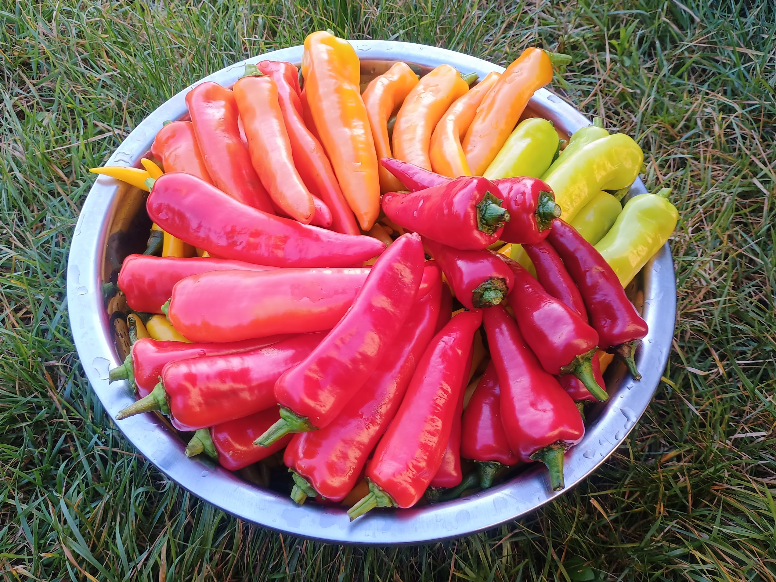 Proces uprawy i dbałość o jakość